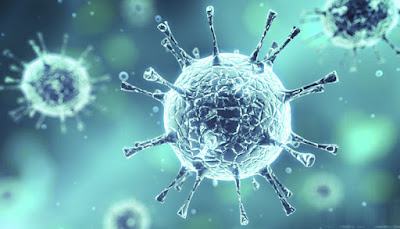 Virus Virus