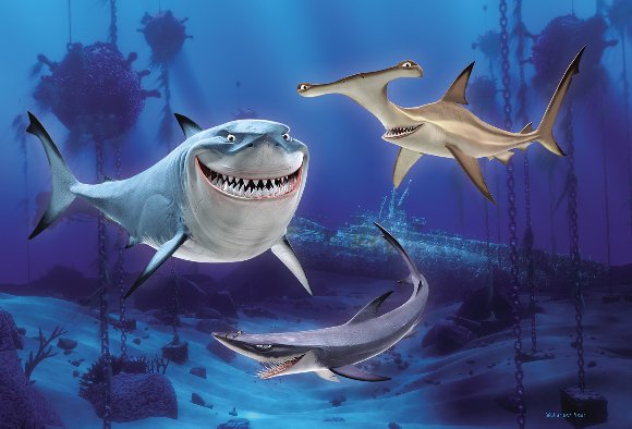 Three different kinds of sharks in Finding Nemo