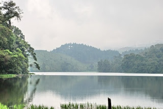 Cagar Alam Telaga Ranjeng Brebes Cagar Alam Telaga Ranjeng Brebes