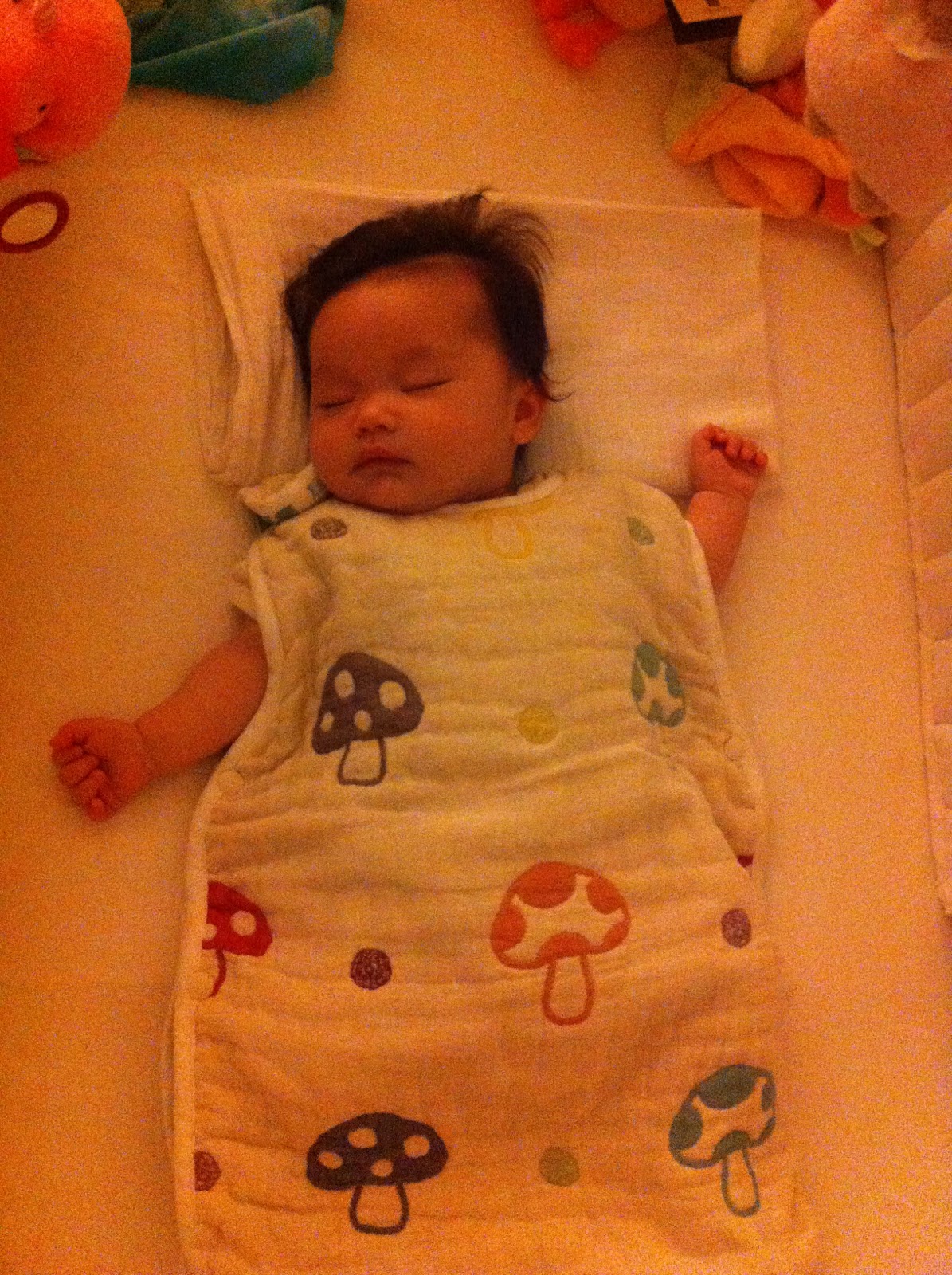 Yumiko in Paris 日本製寝袋/Made in Japan Sleeping Bag