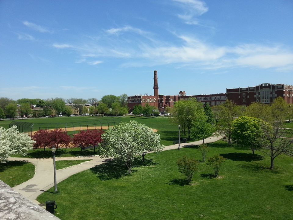 The Chicago Real Estate Local: Winnemac Park blooms AND and look at