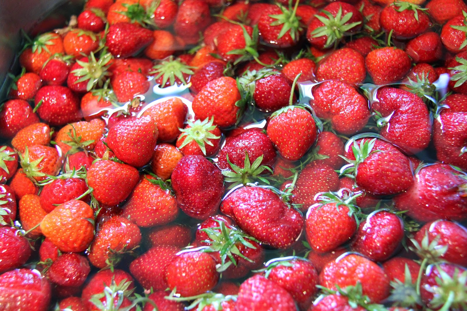 dirt digging sisters Strawberry Jamming