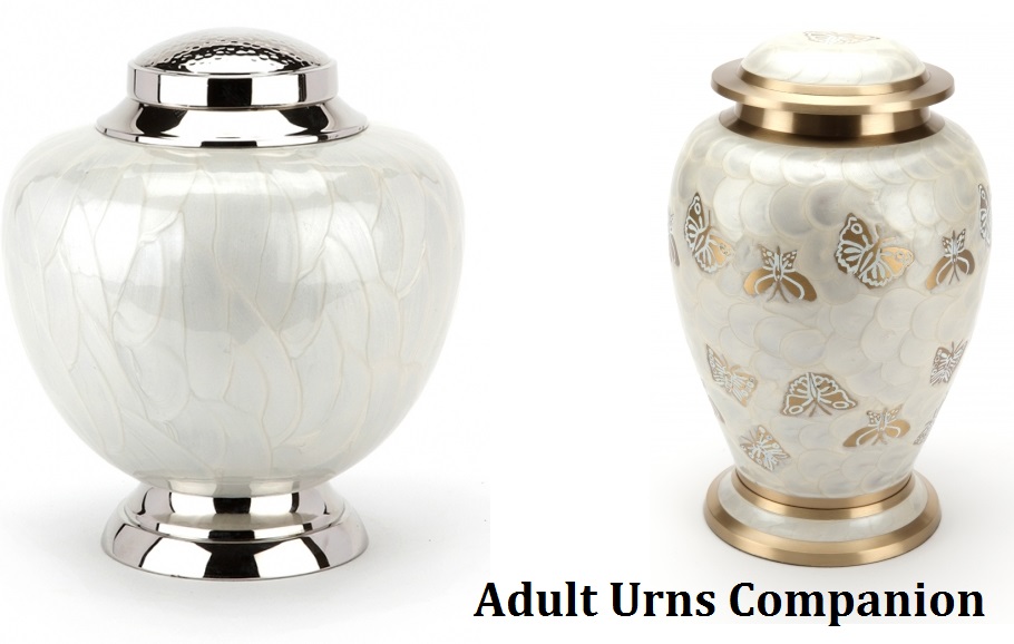 Buy Adult Companions Urns For Ashes And Facilitate Yourself To