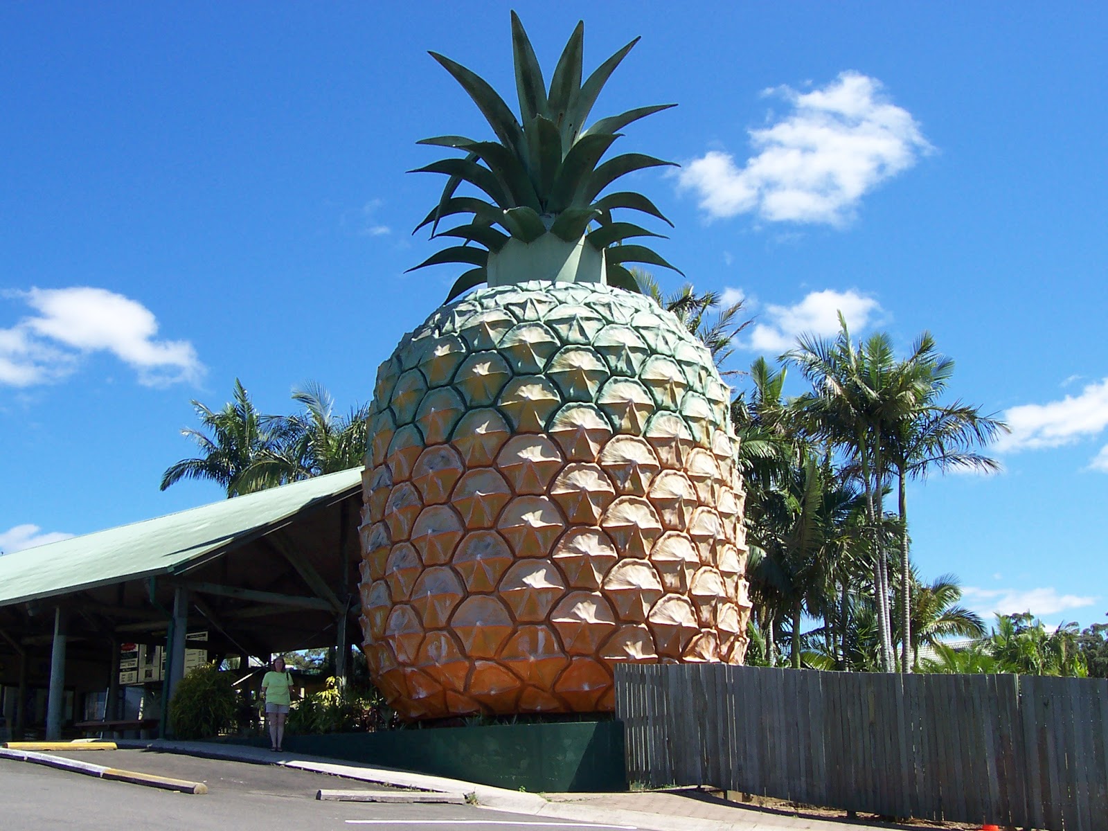 Around Australia in 99 days