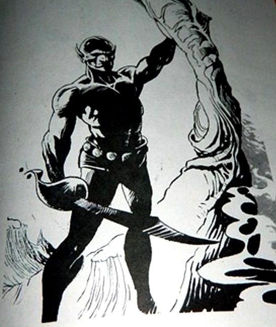 What is a dissertation image