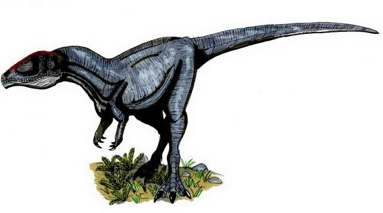 Spinosaurus 3 Dinosaurus yang Lebih Ganas Besar dan Kuat 