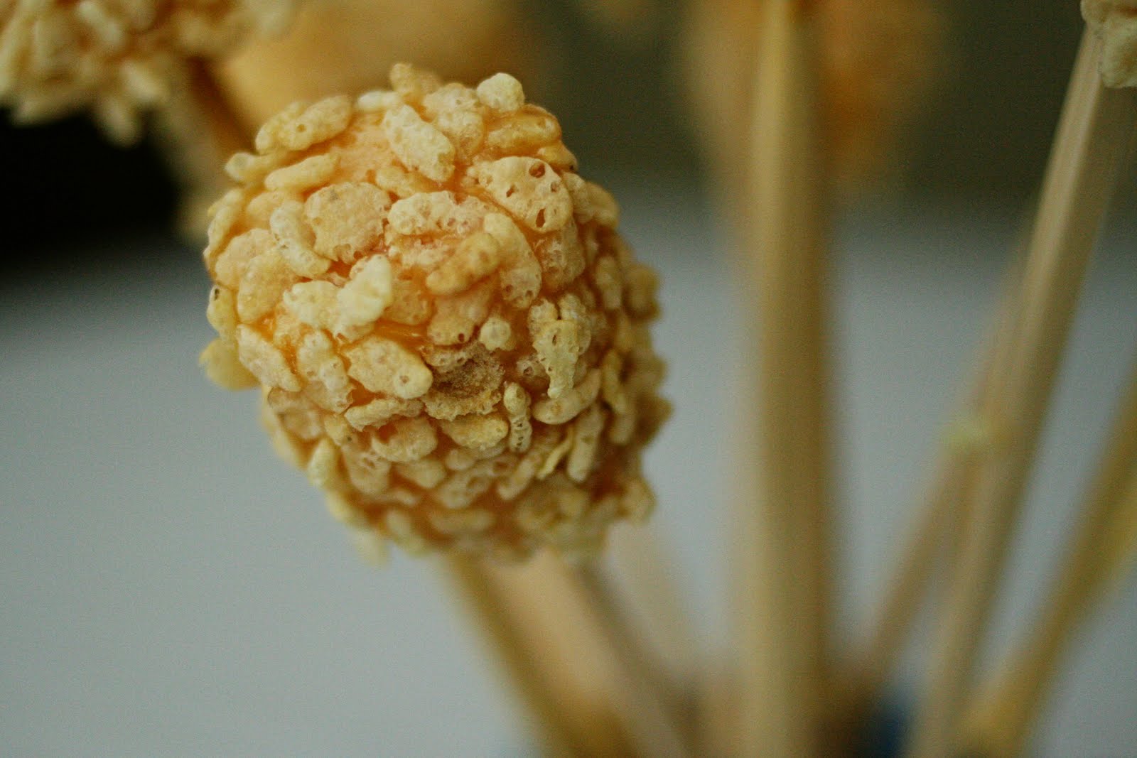 Tasty Vittles Caramel Marshmallow Delights