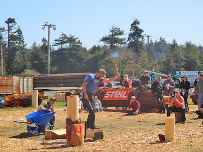 #ArrestTrump - Legalize Voting - gvan42: Photographs of Antique Logging