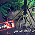 تعرف على الاشجار التى تمشي - النخل ذات السيقان