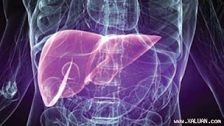 Sorafenib được chỉ định cho bệnh nhân ung thư gan giai đoạn 3