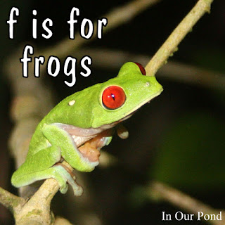 f is for frogs! Homeschool Theme Unit #montessori