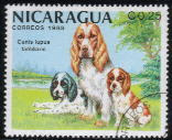 1988年ニカラグア共和国 コッカー・スパニエルの切手