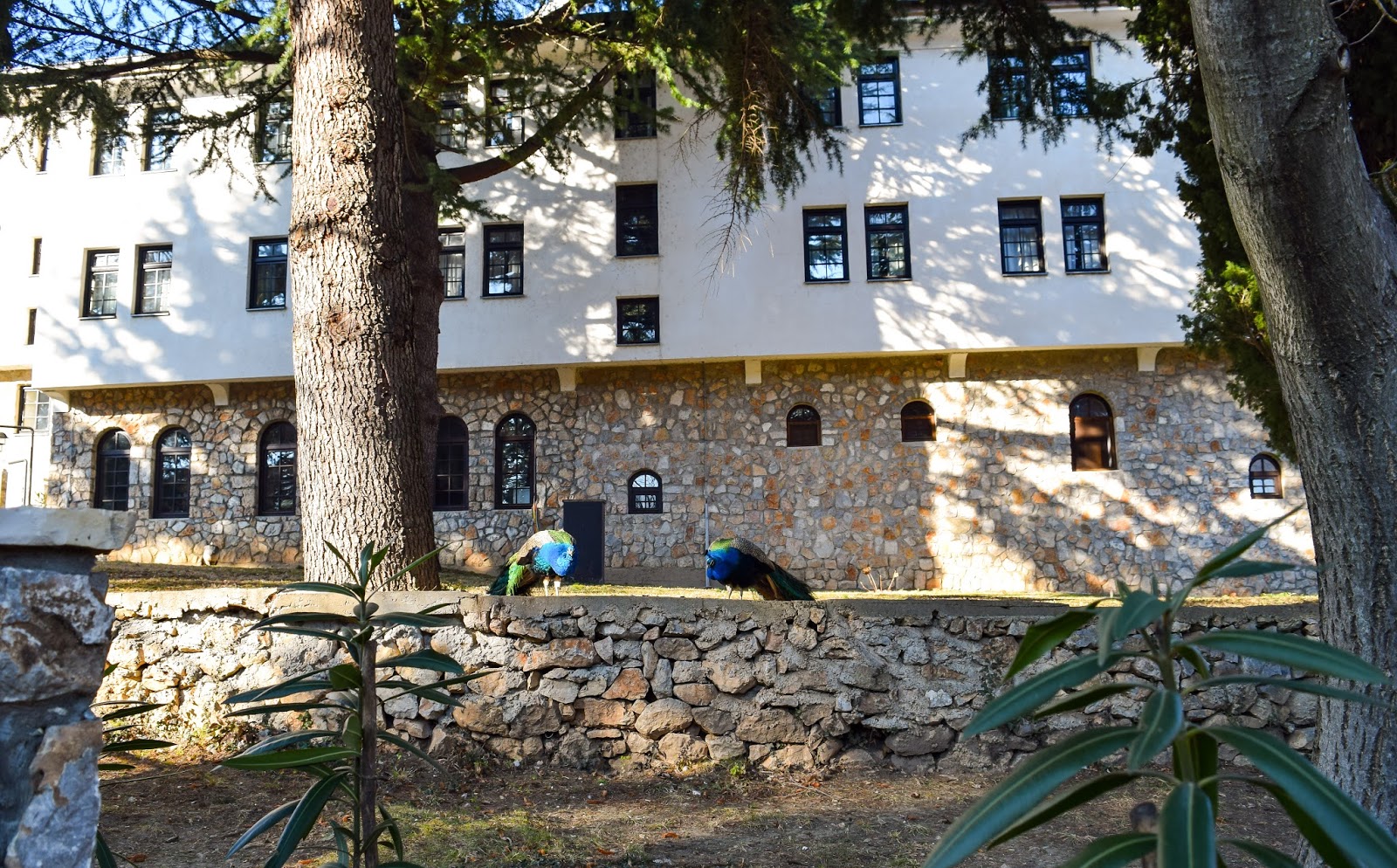 Monastery - St. Naum