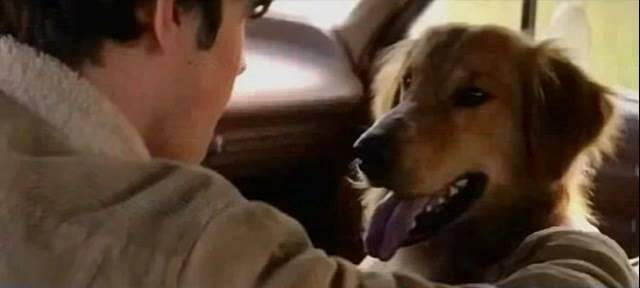 Screenshots A Dogs Purpose (2017) HD-Cam 720p 850 MB Uptobox Free Full Movie www.uchiha-uzuma.com Screenshots A Dogs Purpose (2017) HD-Cam 720p 850 MB Uptobox Free Full Movie www.uchiha-uzuma.com