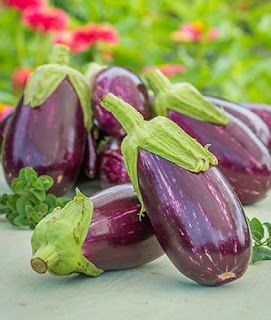 Top 9 Benefits of Eggplant For Healthy Body - Healthy T1ps Top 9 Benefits of Eggplant For Healthy Body - Healthy T1ps