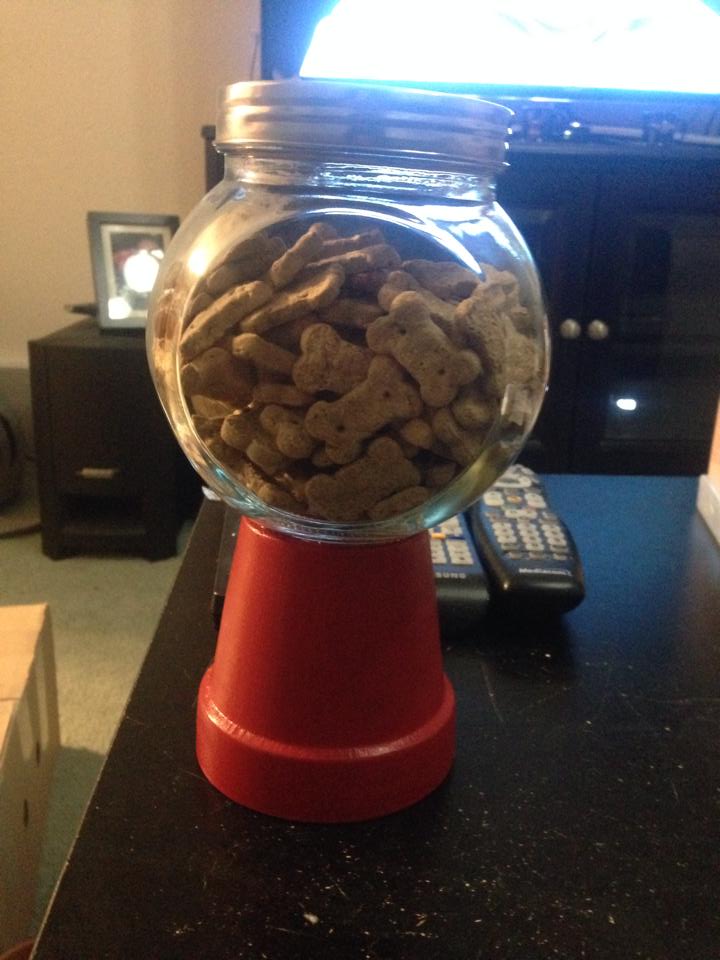 Unique Diy Treat dispenser