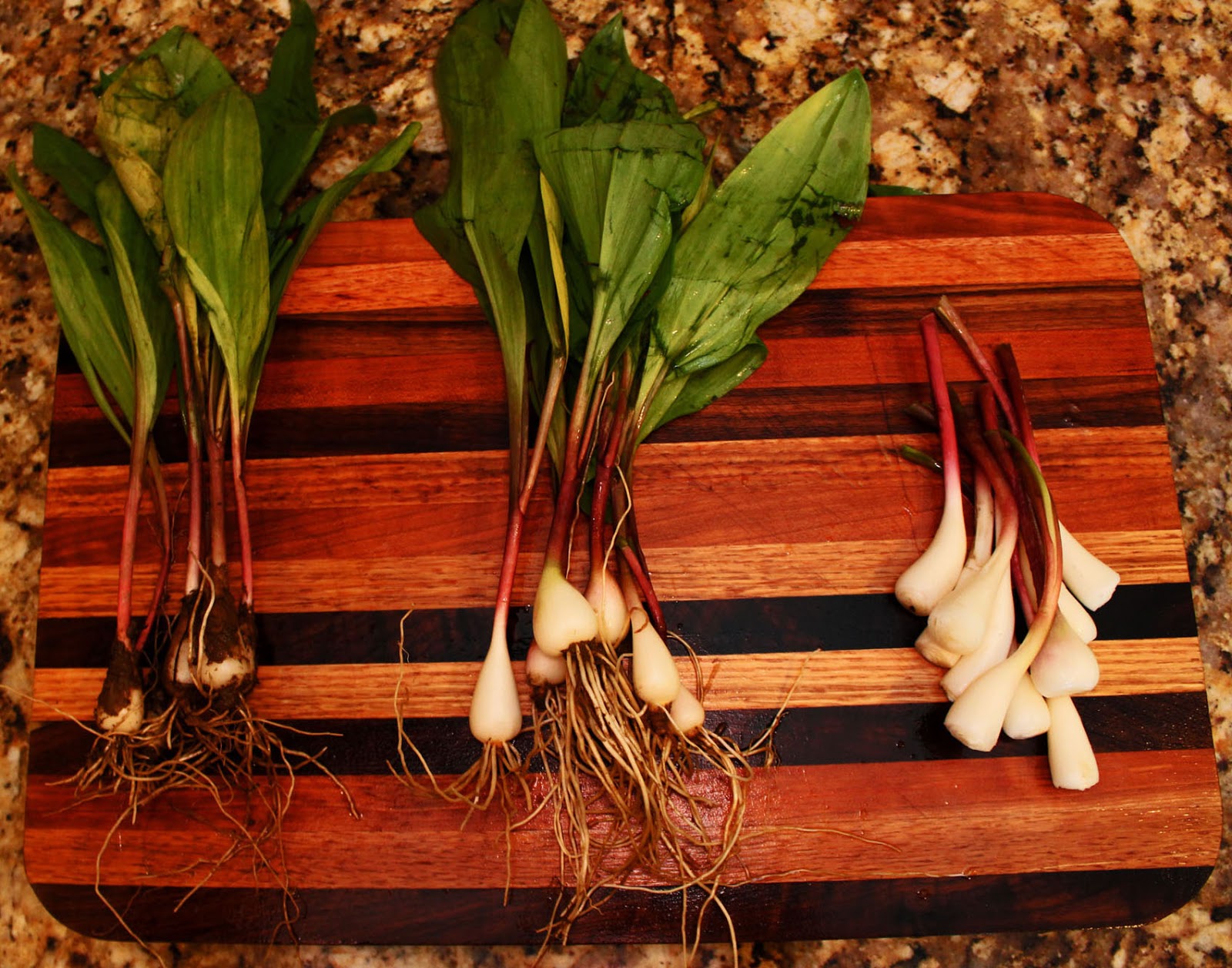 Game On! Prep to Plate in 30 Minutes Preserving Wild Leeks