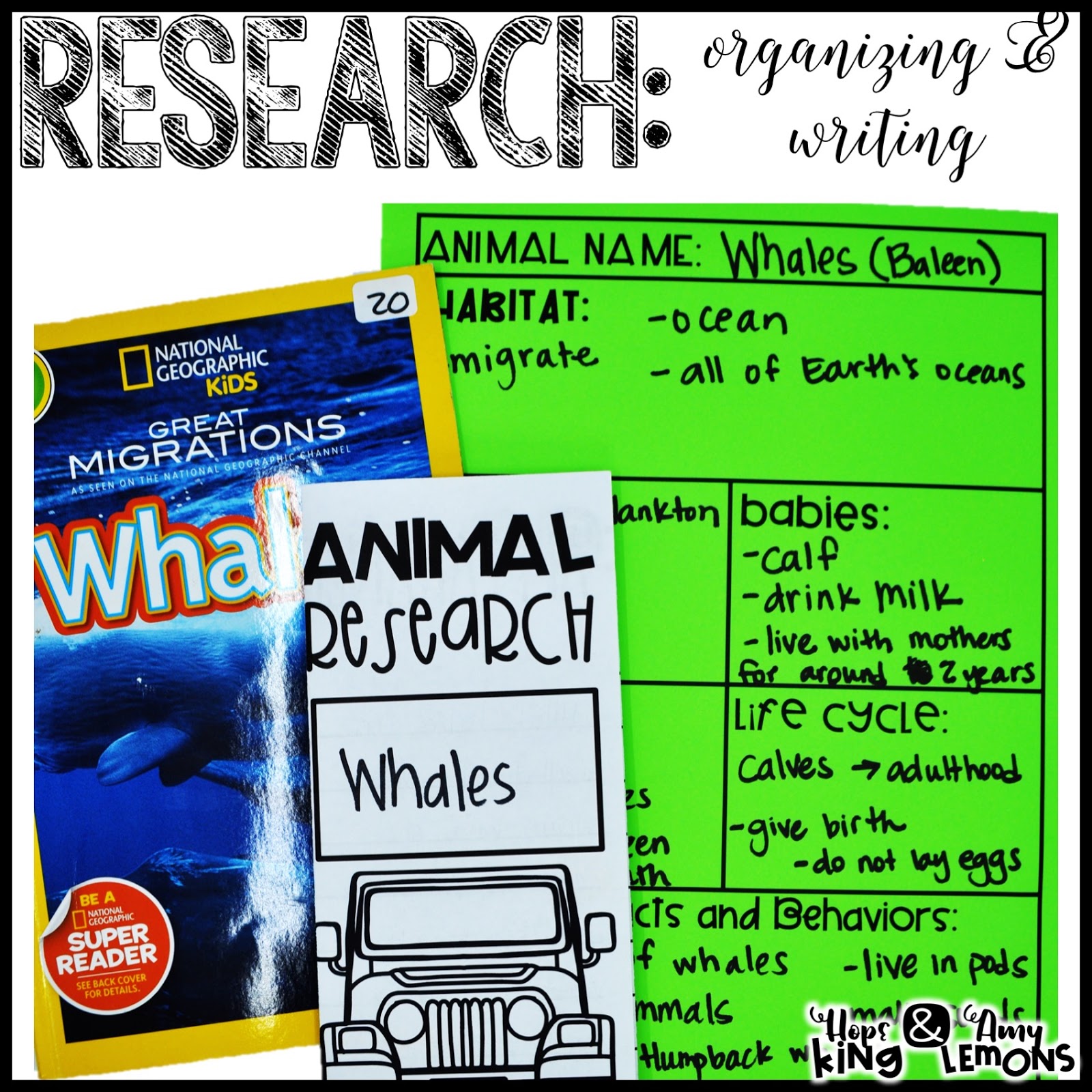Research for Kids Animals and Continents! Step into 2nd Grade with