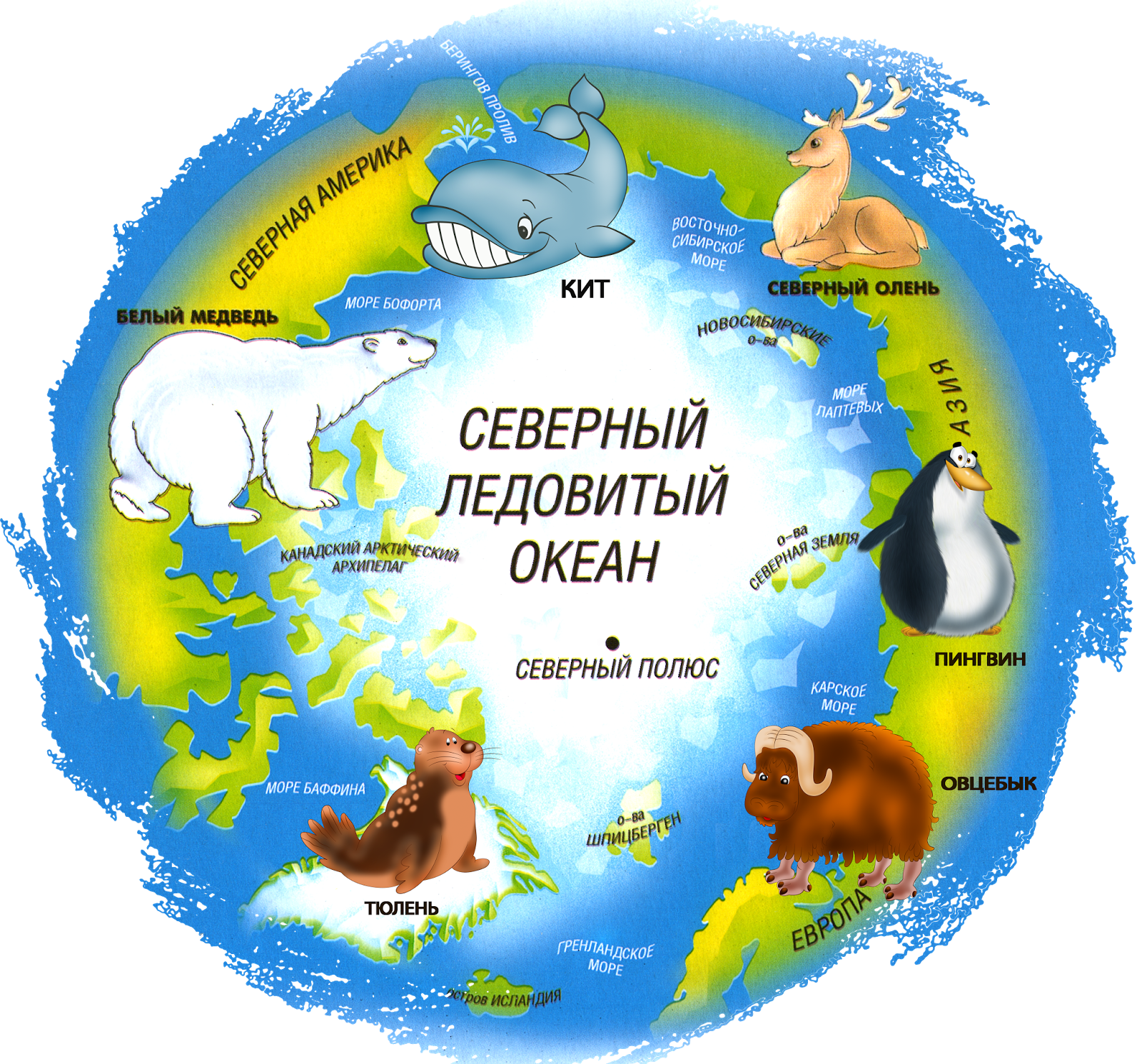 Арктика на глобусе для детей. Северный ледовитый материки. Моря северного ледовитого океана список. Северный полюс на карте. Северный и южный полюс земли.
