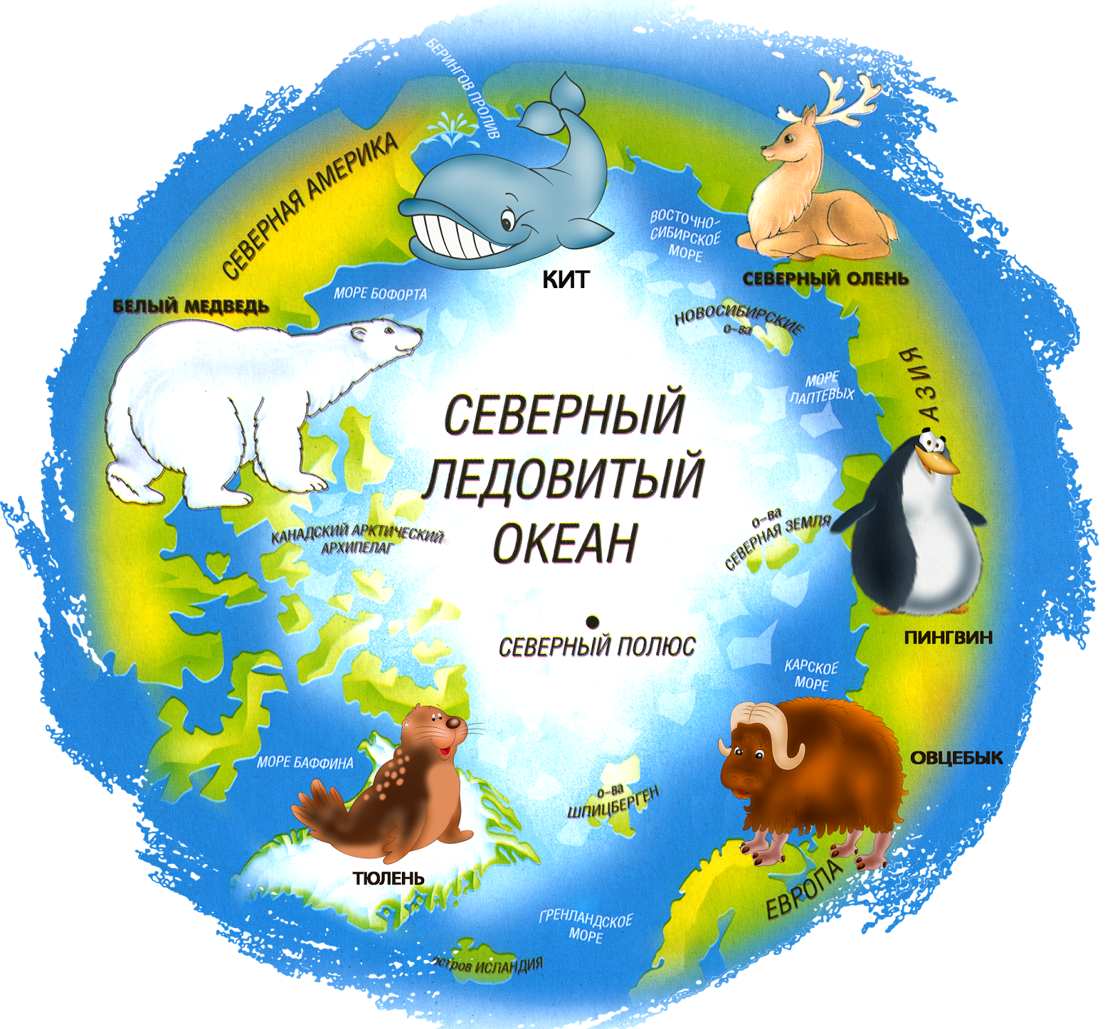 Обитатели полюсов. Обитатели Антарктиды для детей. Карта Арктики для детей. Антарктика для детей дошкольного возраста. Арктика на глобусе для детей.