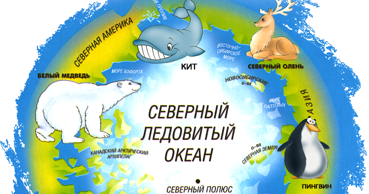 "В мире творчества" : Путешествие в Антарктиду и Арктику
