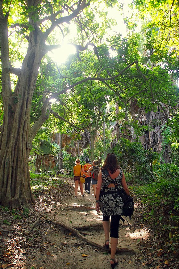 monkey forest park