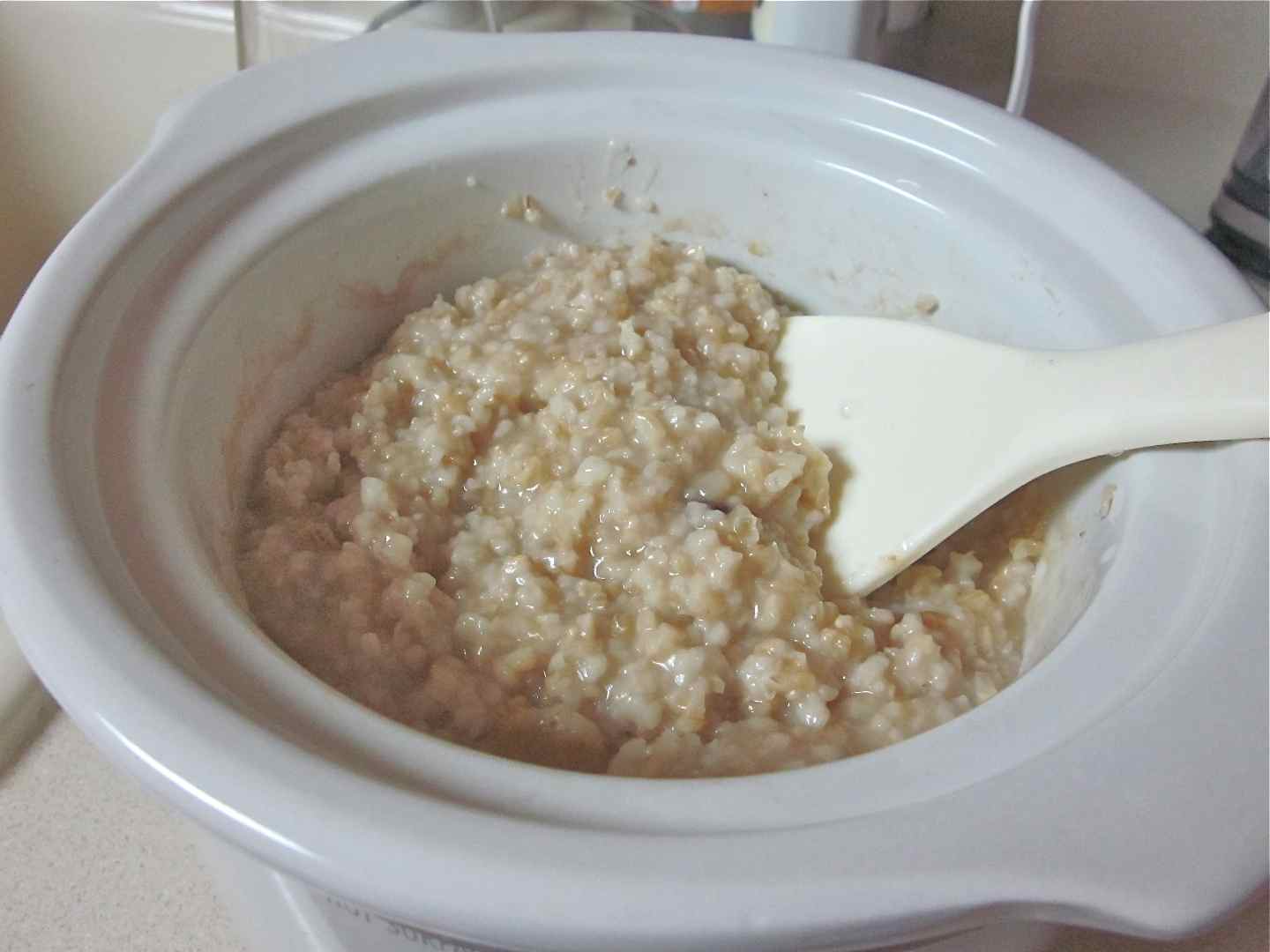 Karen’s Vegan Kitchen Seriously Spectacular Steel Cut Oats