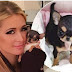 Paris Hilton buys $8000 Dog
