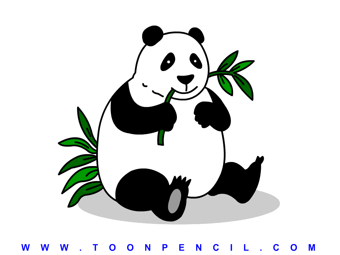 Panda Bear Sketches Bear Sketch Related Keywords