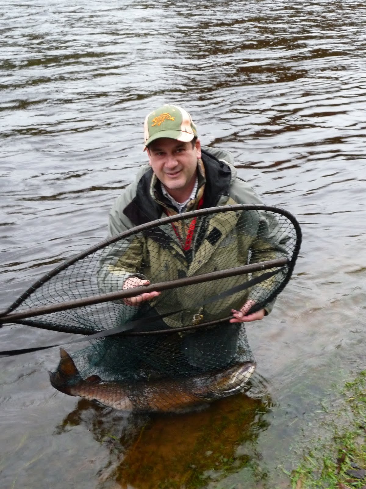Salmon Fishing Scotland. Salmon Fishing Scotland Salmon Fly Fishing on
