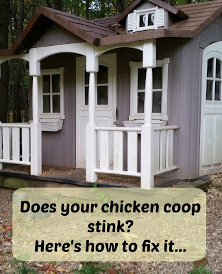 chicken coop smells