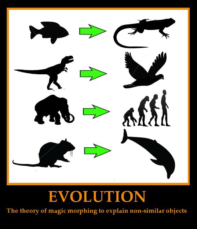 Эволюция максимального уровня. Эволюция. Мемы про эволюцию. Эволюция прикол. Эволюция Мем.