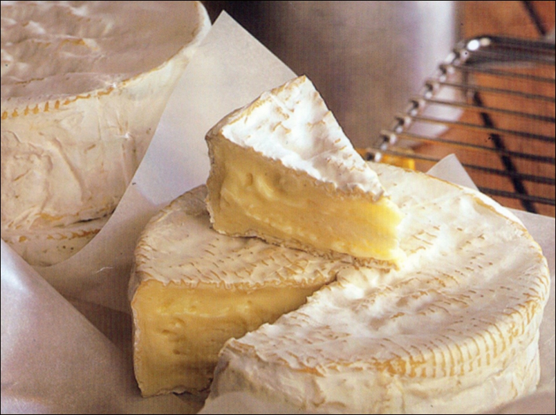 My Two Cents Trying New Cheeses Entry 9, Ile De France, Camembert
