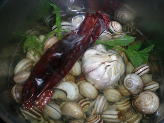 DSCN9881.JPG