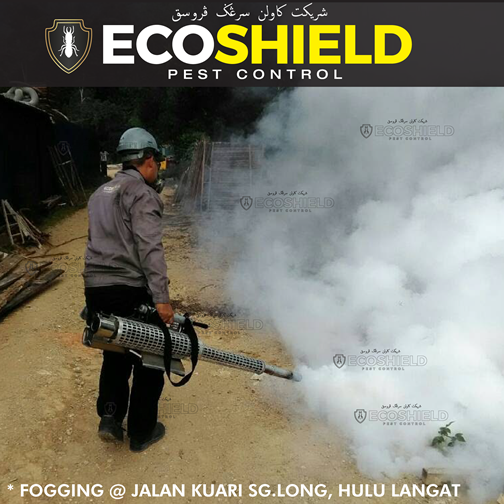 Eco Shield Pest Control Malaysia - Fogging