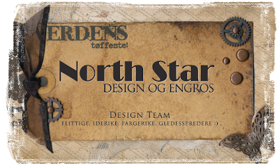 Design Team for North Star Design og Engros