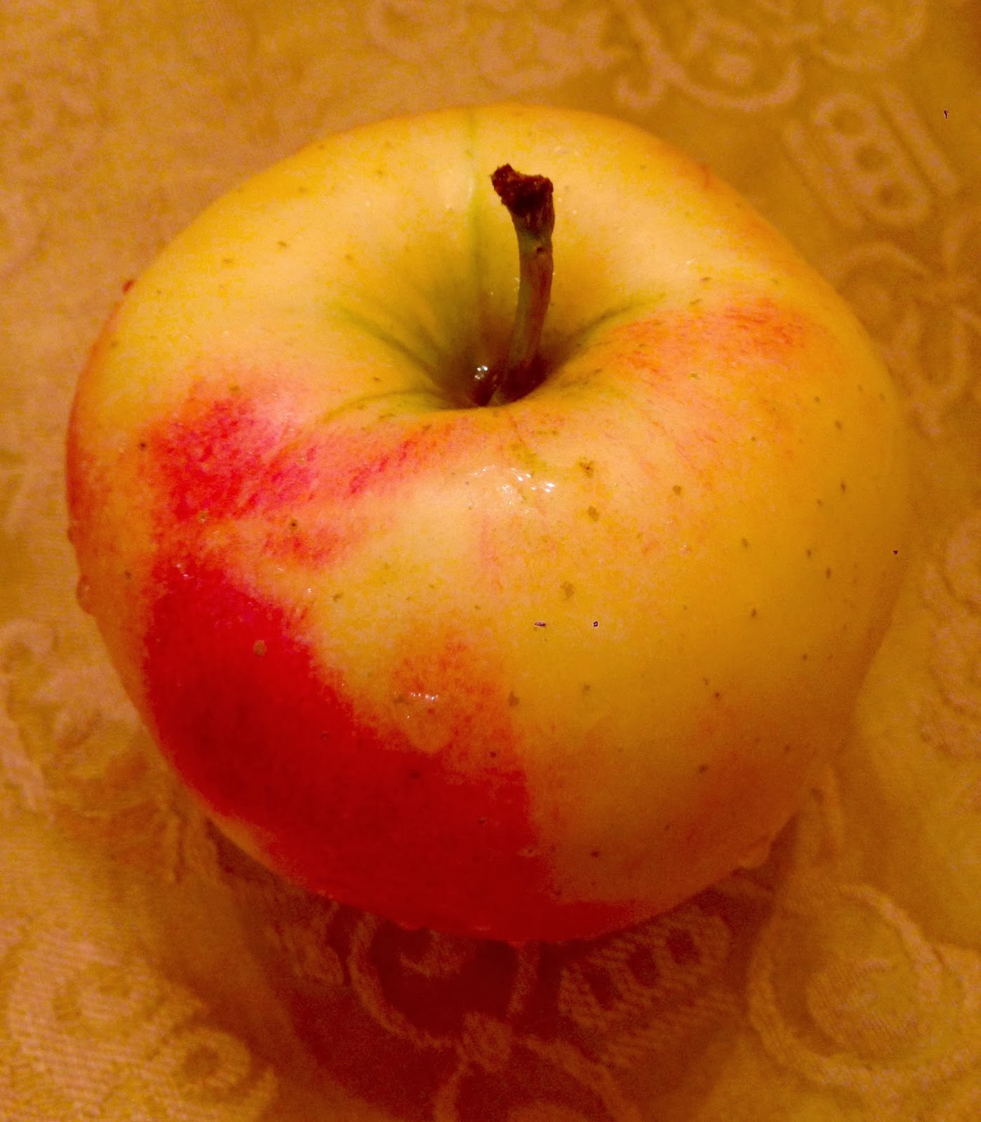 The Simple Romantic Travels Through Time Apples Need a Home