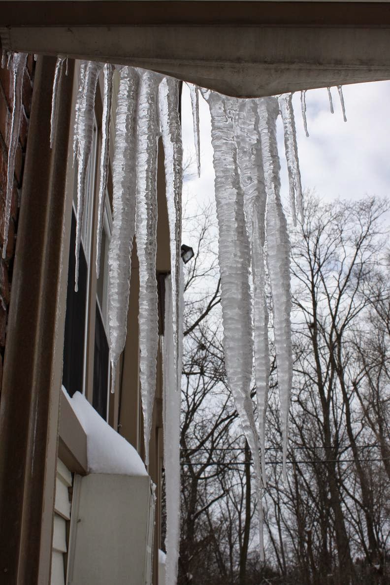 Michigan Exposures Snowed In