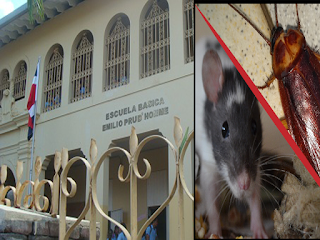 Ratones y Cucarachas invaden Centro de Estudio en Santiago- alumnos y profesores hacen llamado a Ministerio de Educación. 