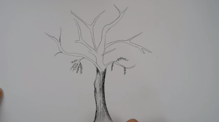 تعلم رسم شجرة بالرصاص خطوة بخطوة للمبتدئين