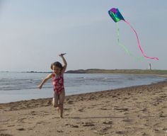 Kite Flying at the Beach Kid Flying a Kite at the Beach