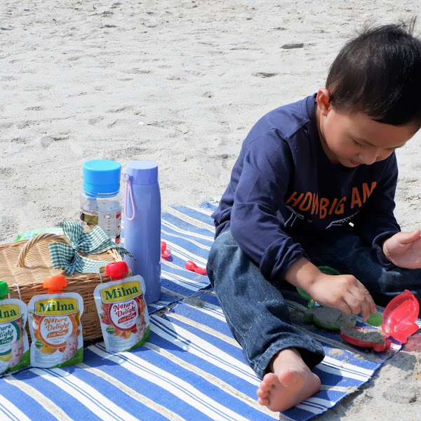 Solusi Mudah Makan Buah Untuk si kecil dengan Milna Nature Delight