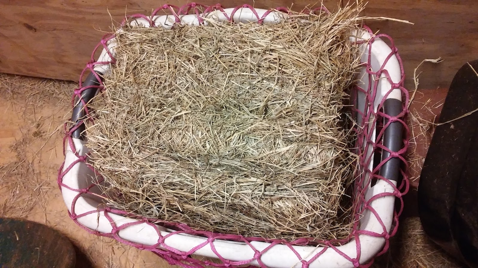 The Well Groomed Horse Hay nets