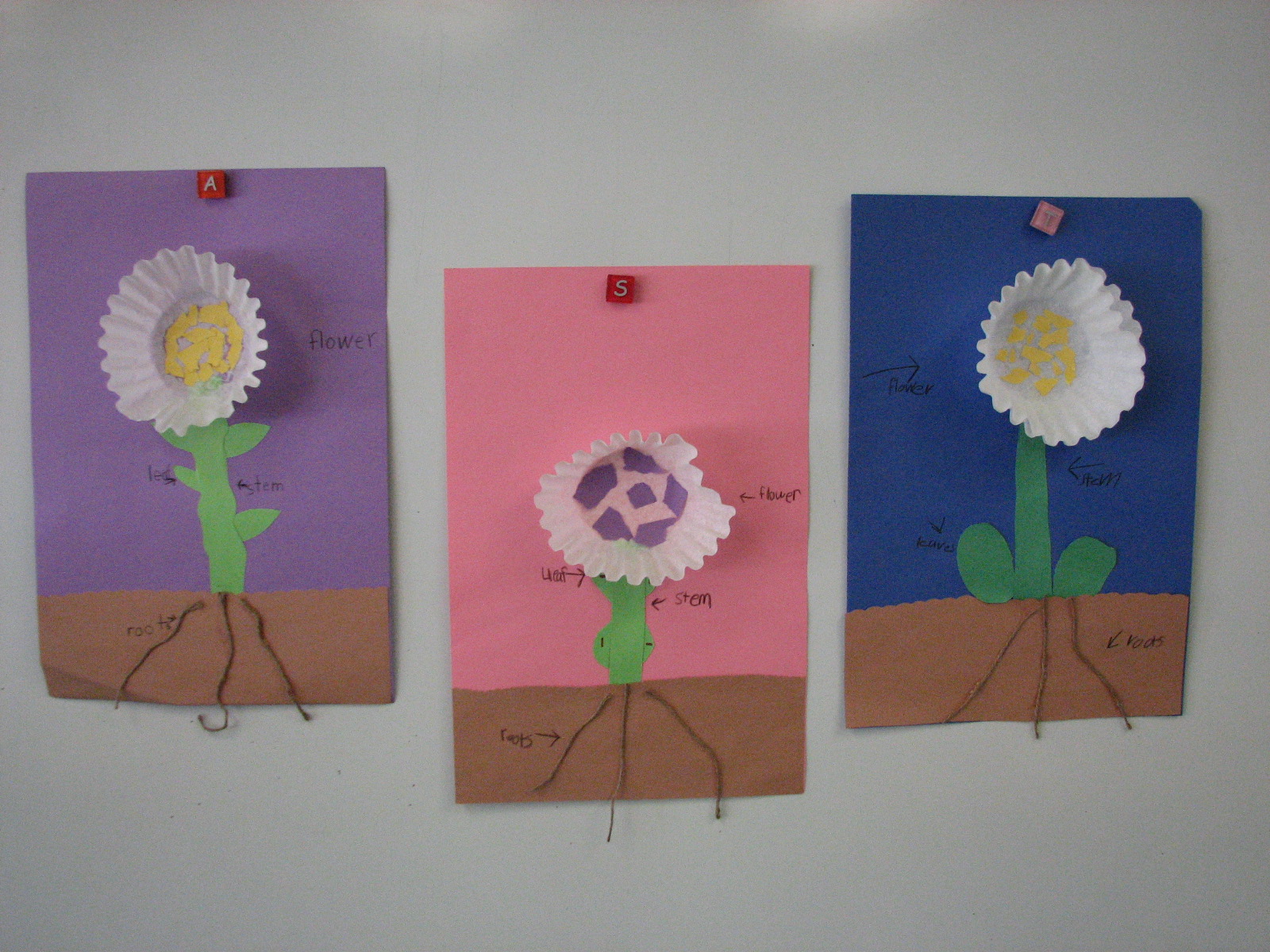 Dew Drop Into First Grade: Plant Unit