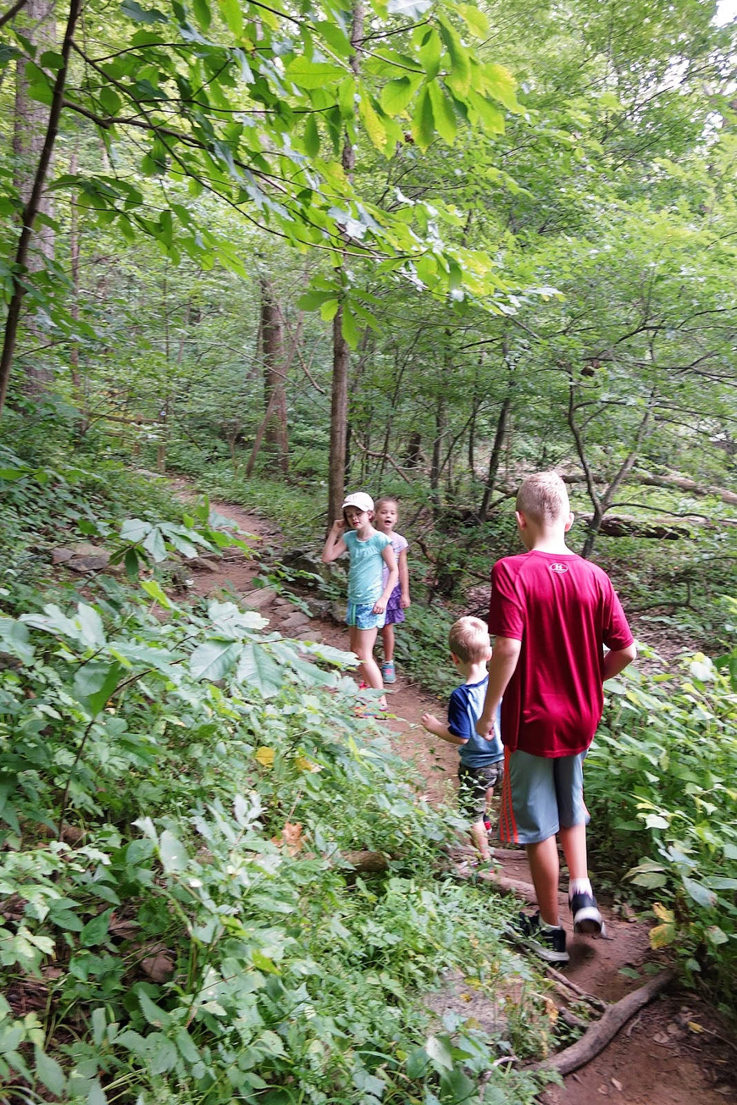 The Cullinan Family Turkey Run Loop