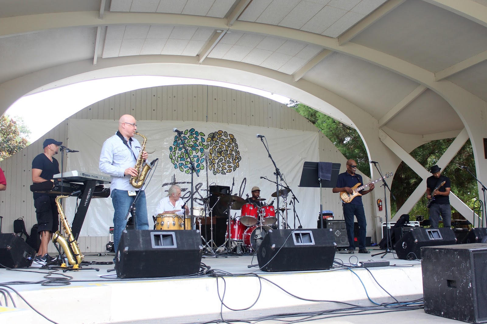 The Coston Chronicles Festival In The Park Double Door Inn