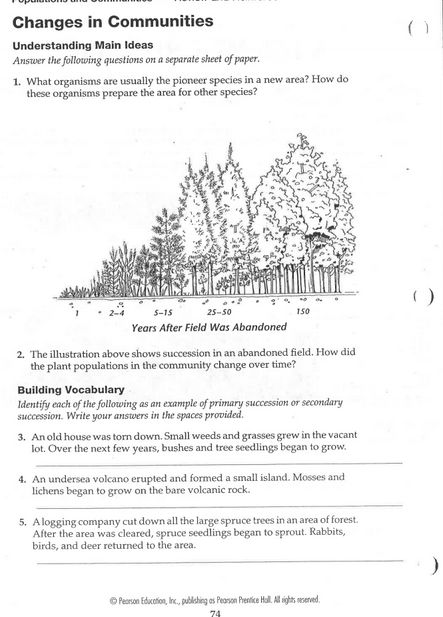 Ecological Succession Worksheet. Worksheets. Releaseboard Free printable Worksheets and Activities