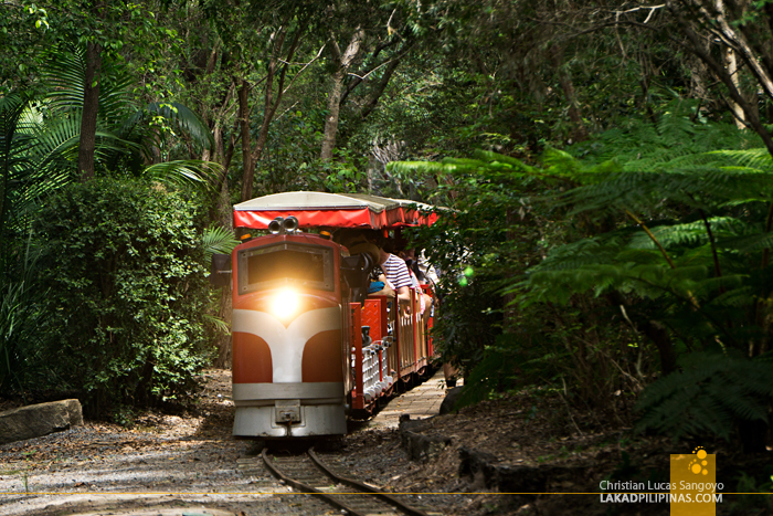 Currumbin Wildife Sanctuary Train Australia Currumbin Wildife Sanctuary Train Australia