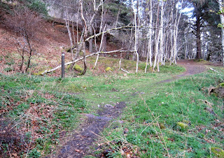 The path branches on the walk around Craigendarroch, Deeside