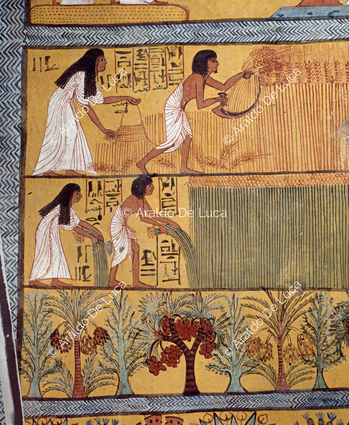 Земледельцы в древнем египте. Земледелие древнего Египта фрески. Земледелие в древнем Египте. Земледельцы древнеготегипта. Каноны древнего Египта.